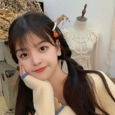 摇曳露营第二季
